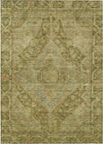 addison chantille acn1761 aloe rug