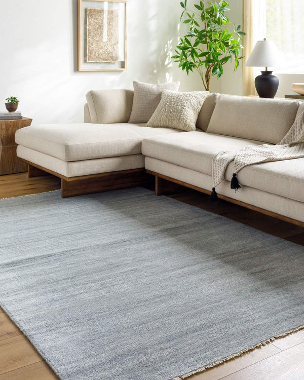 surya epic epi 2302 gray rug