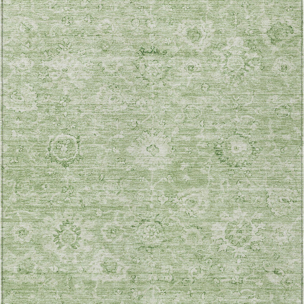 addison chantille acn1089 aloe rug