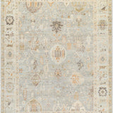 surya antalya aat 2311 brown rug