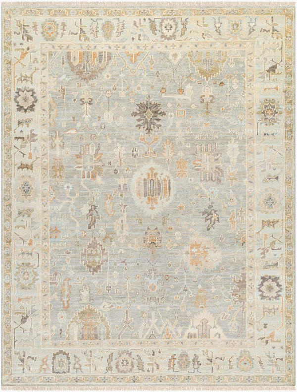 surya antalya aat 2311 brown rug