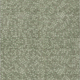 addison chantille acn1021 sage rug