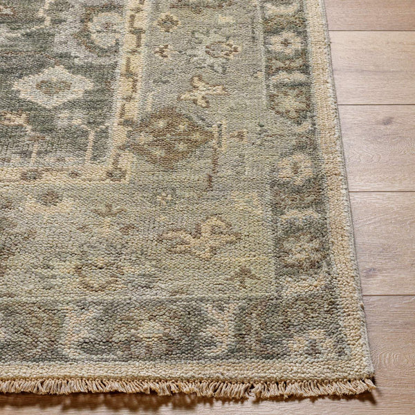 surya biscayne bsy 2316 olive rug