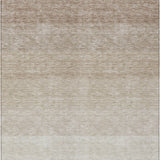 addison chantille acn928 beige rug