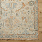 surya biscayne bsy 2320 burnt orange rug