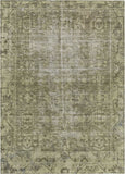 addison chantille acn1228 olive rug