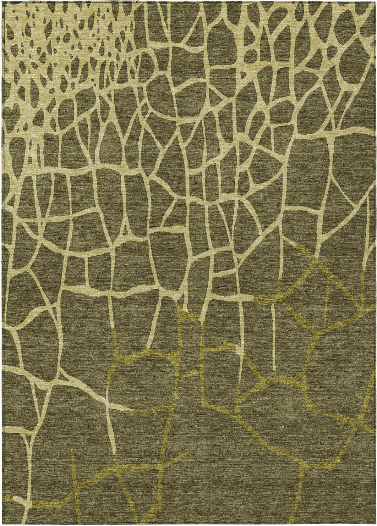 addison chantille acn1049 olive rug