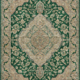 dalyn hatay hy3 emerald rug