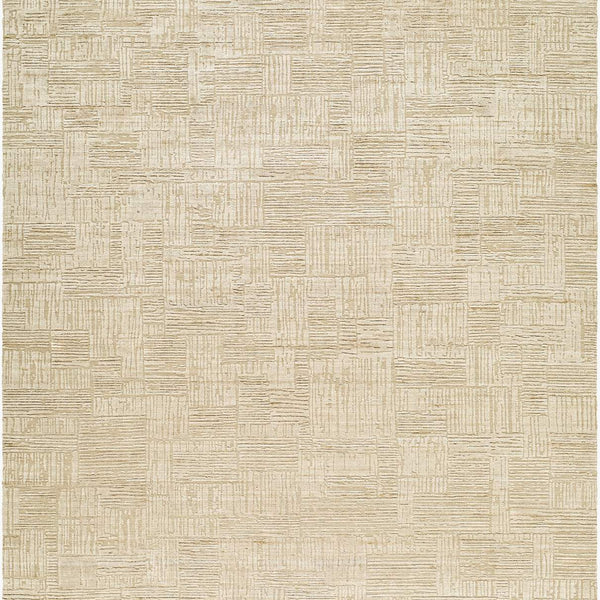 surya dilber dbr 2306 beige rug