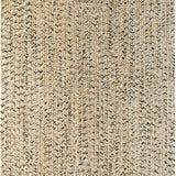 capel sea pottery 0110 shell rug