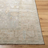 surya normandy noy 8013 sage rug