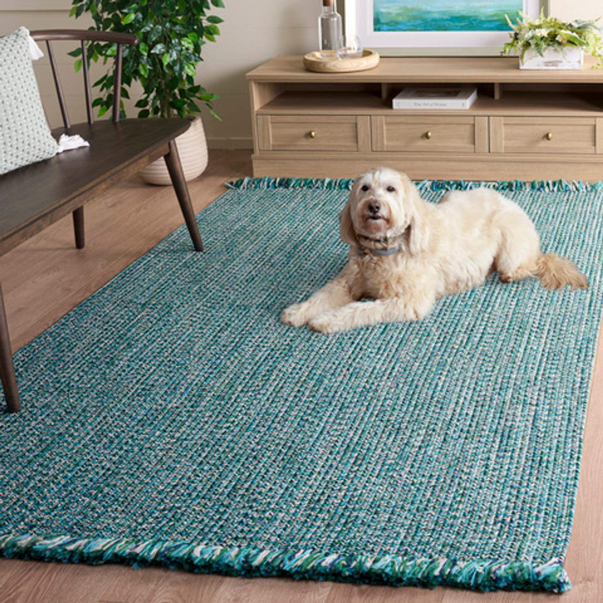 safavieh clearance braided 300 bra301k turquoise rug