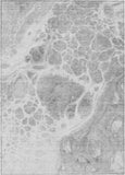 addison chantille acn682 gray rug