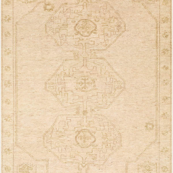 surya destiny dey 2301 beige rug