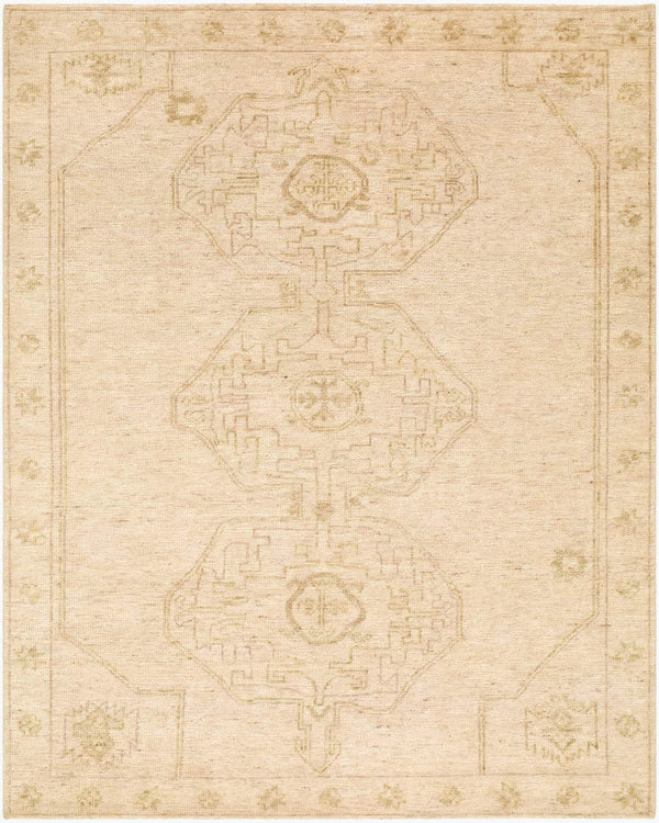 surya destiny dey 2301 beige rug