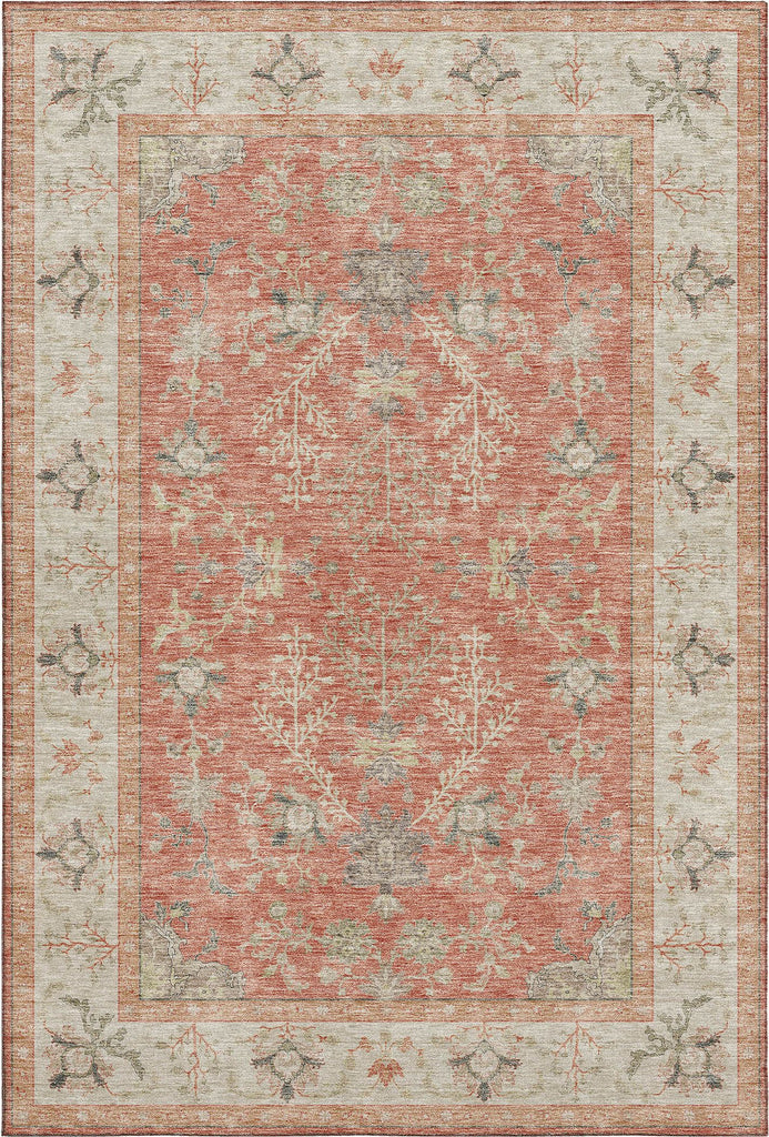 dalyn hatay hy9 coral rug