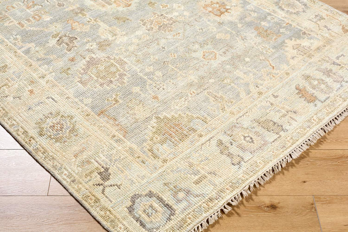 surya antalya aat 2311 brown rug