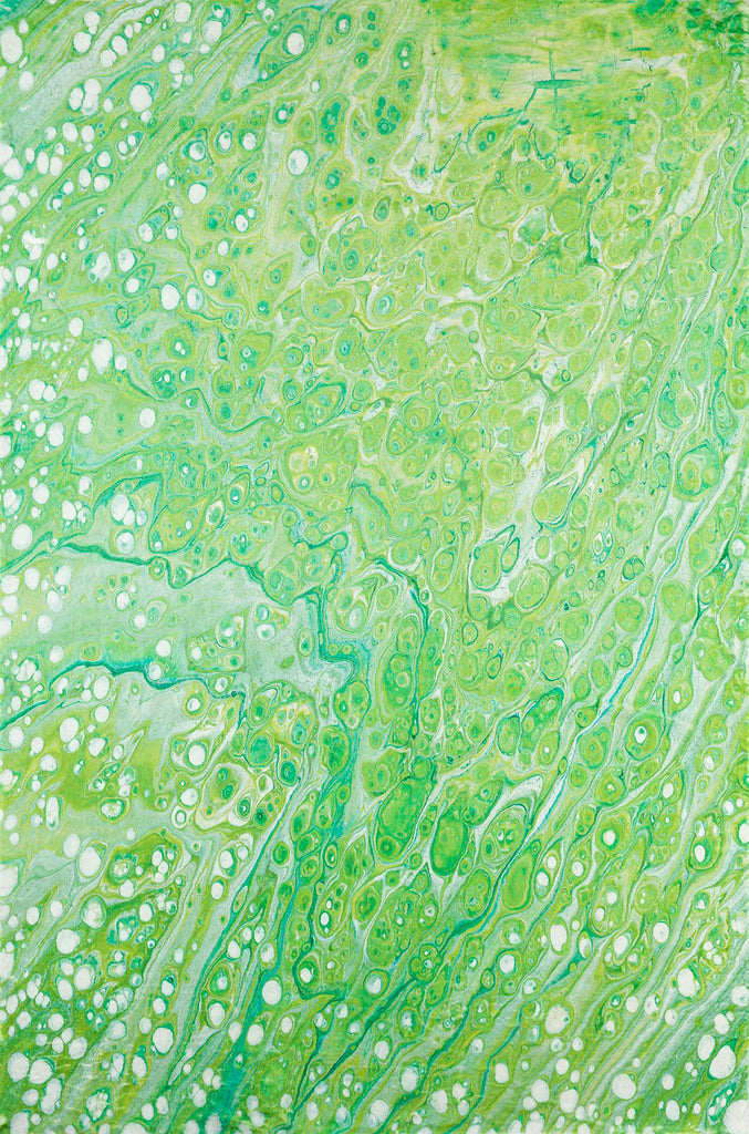 dalyn kikiamo kk5 lime in rug