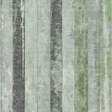 addison chantille acn1868 aloe rug