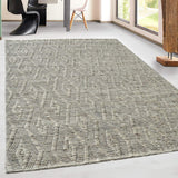 dynamic grove 6213 900 mix grey rug