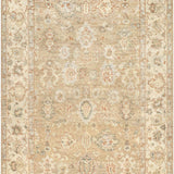 surya biscayne bsy 2321 beige rug