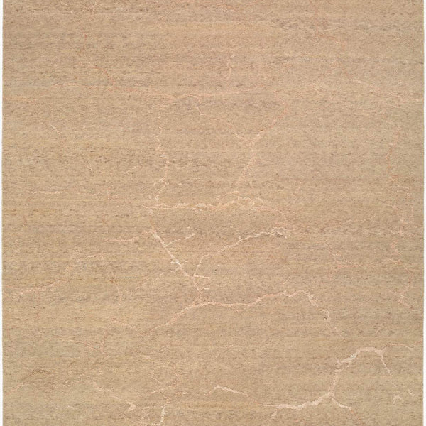 surya washington wsg 2301 sandstone rug