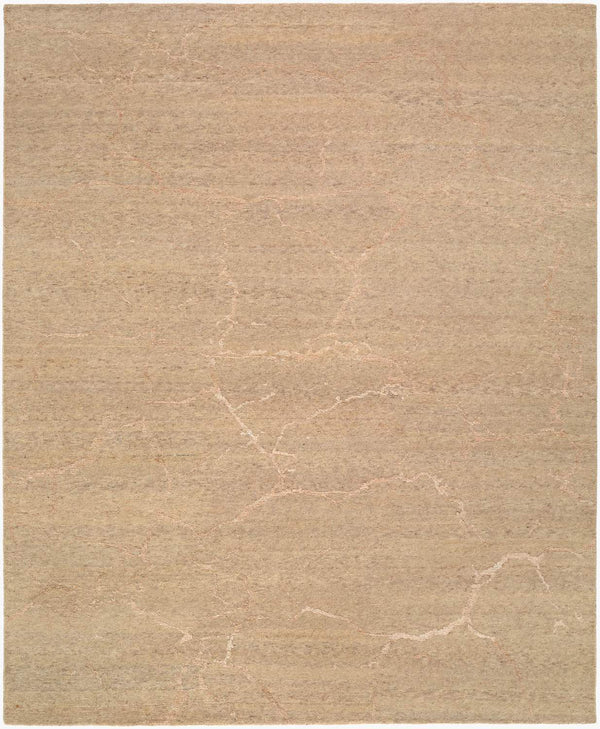 surya washington wsg 2301 sandstone rug