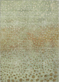 addison chantille acn1074 aloe rug