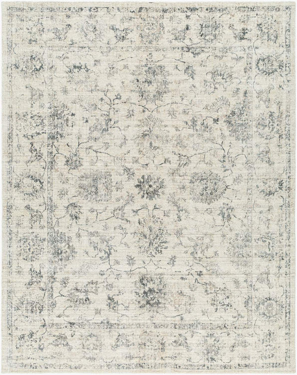 surya wilson wsn 2312 beige rug
