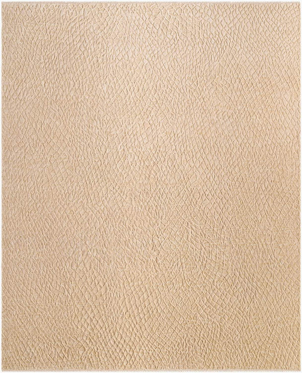 surya reyyan rhe 2300 beige rug