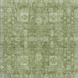 addison mayfield amf637 aloe rug