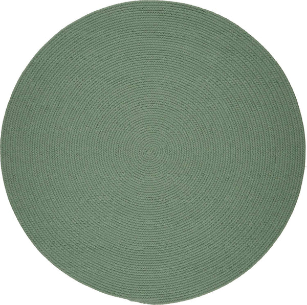 rhody solid poly s040 celadon rug