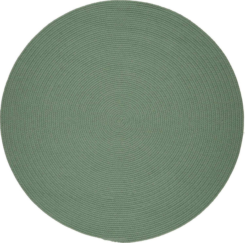 rhody solid poly s040 celadon rug