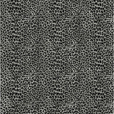 addison mayfield amf43 shadow rug