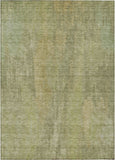 addison chantille acn1648 aloe rug