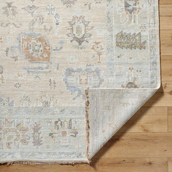surya antalya aat 2314 light brown rug