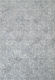 dynamic ancient garden 57162 9646 silver rug