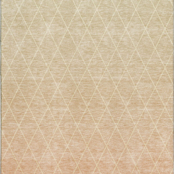 dalyn lazio lz2 salmon rug