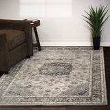 dynamic rugs ancient garden 57559 9656 silver rug