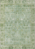 addison chantille acn1772 aloe rug
