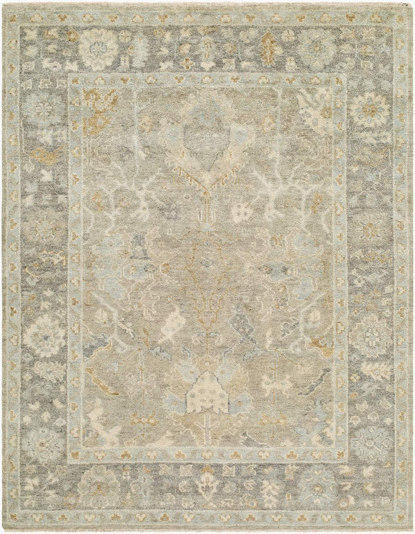 surya sakarya sry 2304 pewter rug