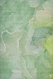 addison mayfield amf511 green rug