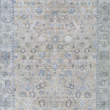 addison chantille acn1772 beige rug