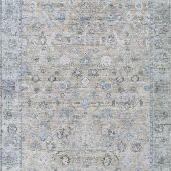 addison chantille acn1772 beige rug