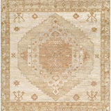 surya malayer myr 2301 beige rug