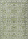 addison chantille acn1919 aloe rug