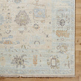 surya antalya aat 2314 light brown rug