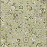 addison chantille acn1006 aloe rug
