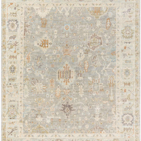 surya antalya aat 2311 brown rug