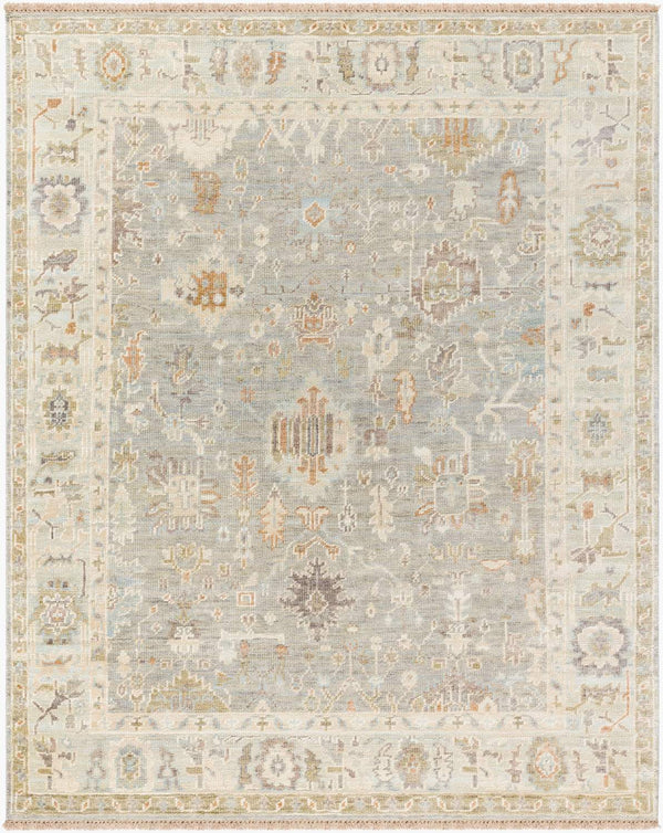 surya antalya aat 2311 brown rug